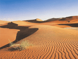 Spreekwoorden uit Afrika